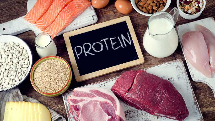 Protein foods